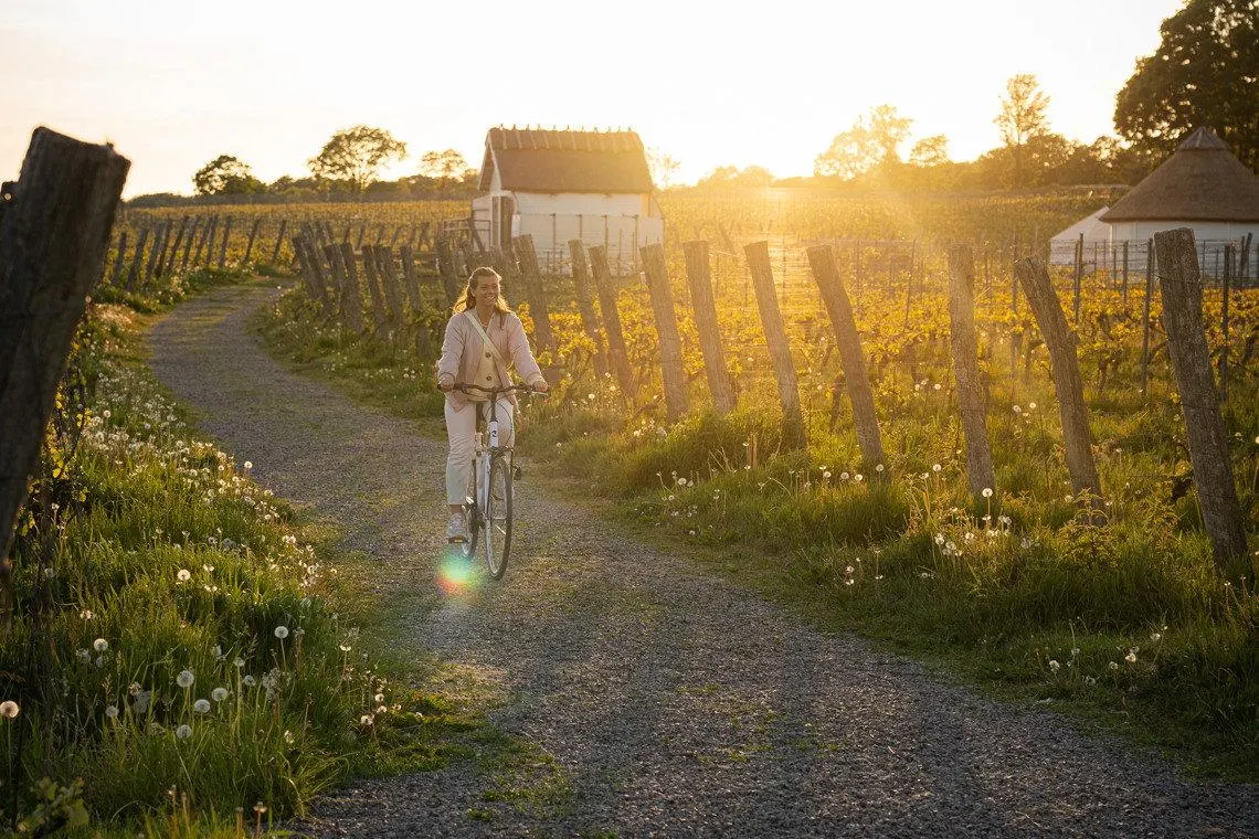 Glöm Toscana – Sveriges vingårdar är resmålen alla pratar om just nu